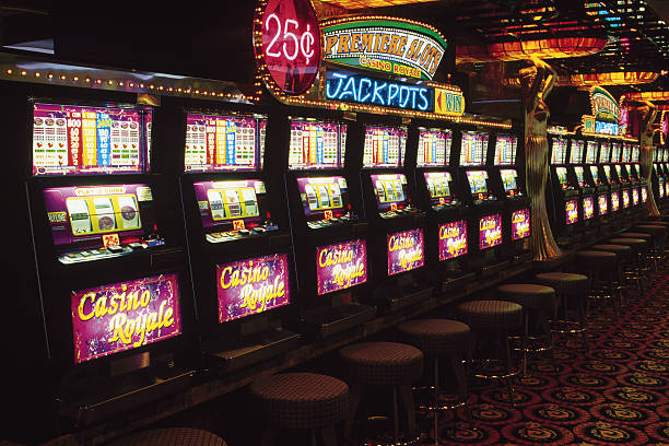 hokibet888 Live Casino